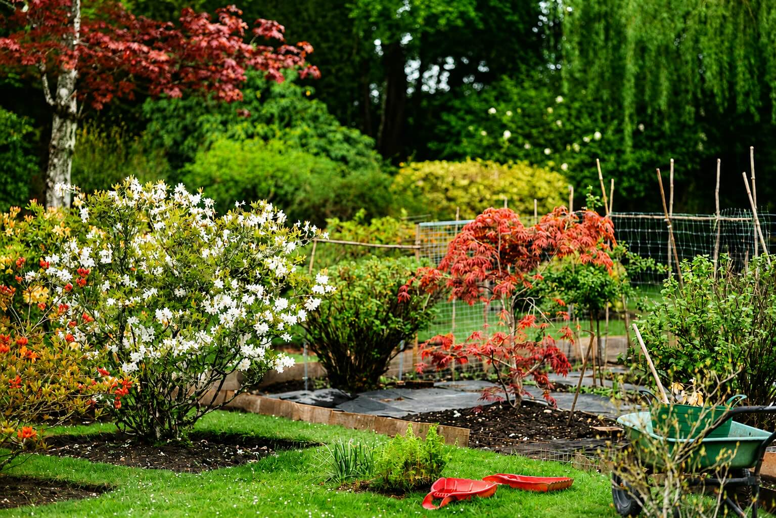 Un giardino non si pianta tutto in un giorno, e non si pianta tutto con la stessa pianta.